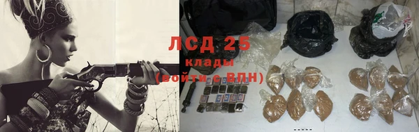 эйфоретик Белокуриха